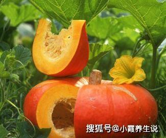 长寿瓜怎样吃,解锁健康长寿的秘密